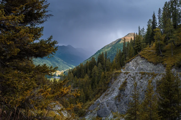 Bewaldetes Bergtal bei Davos unter dunklen Wolken im Herbst