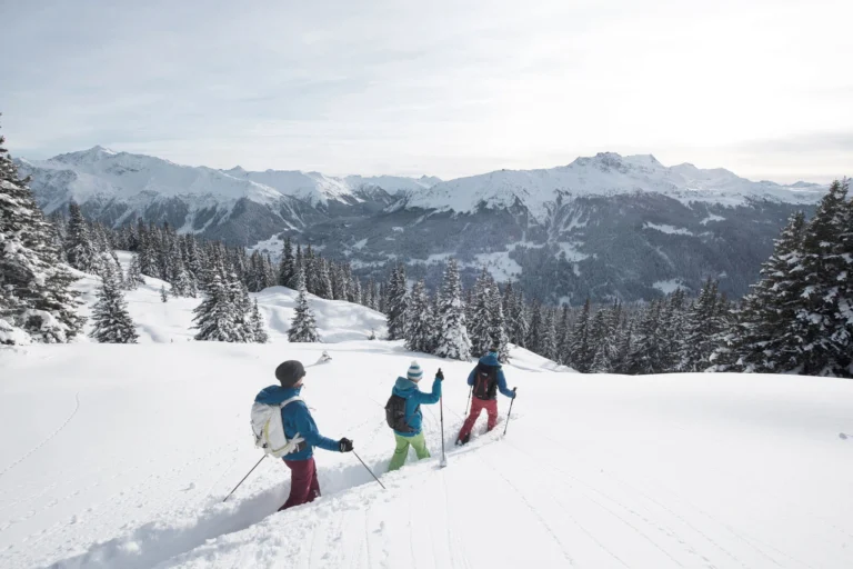 Drei Skitourengeher steigen durch verschneiten Wald mit Blick auf die Berge